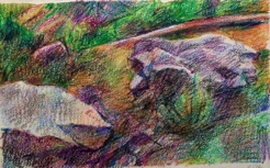 Boulders in the grass
crayon Boulders in the grass
crayon